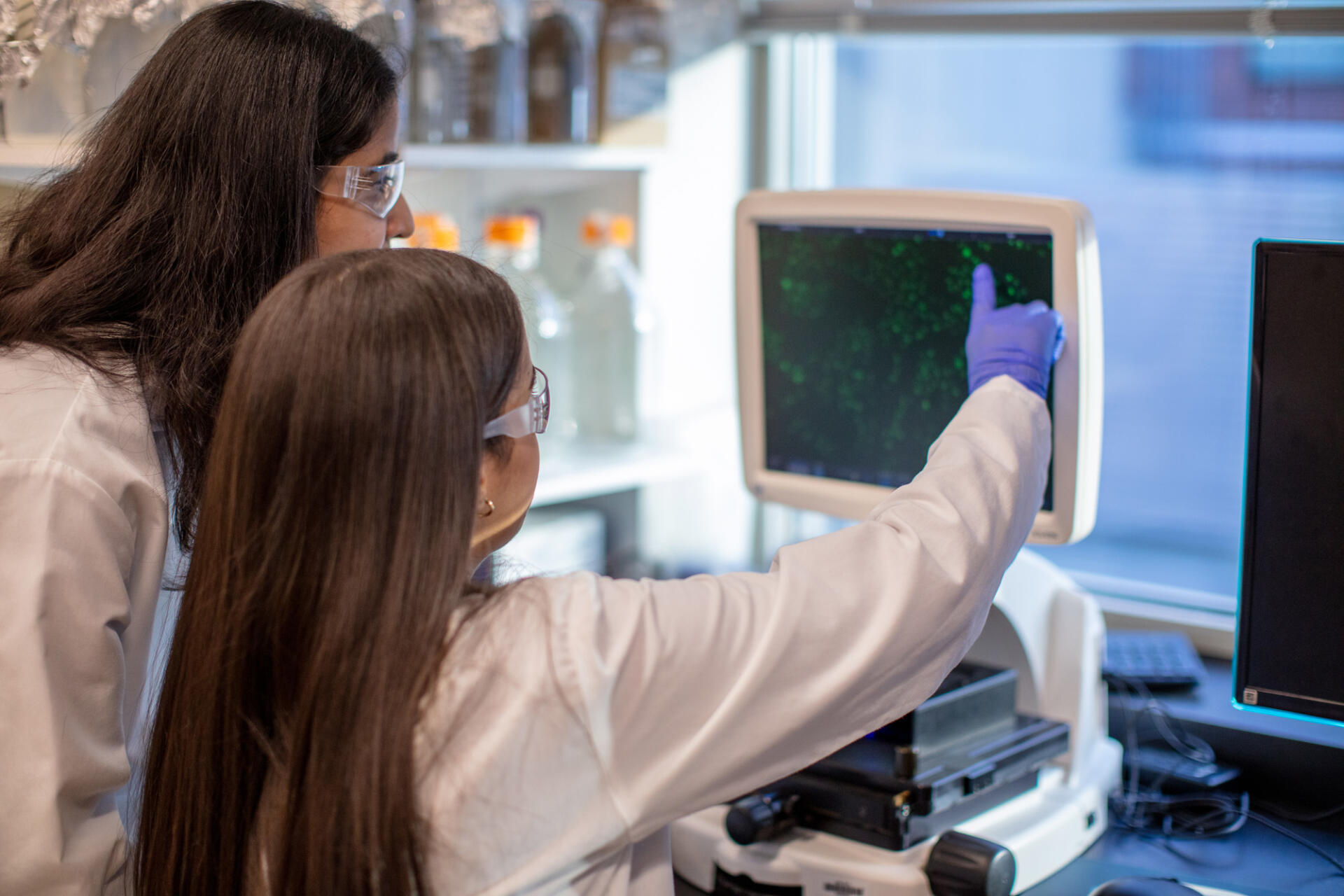 Biotechnology Background