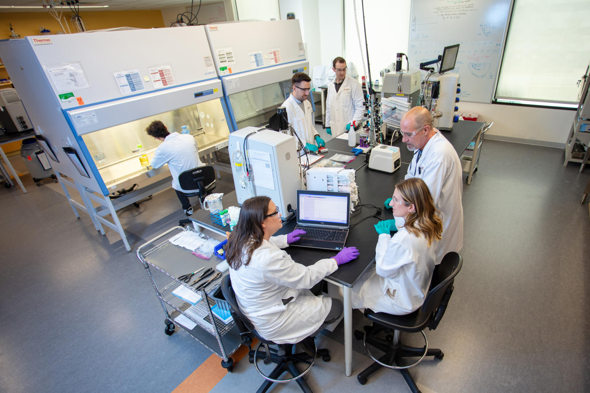 Bioscience Management Background